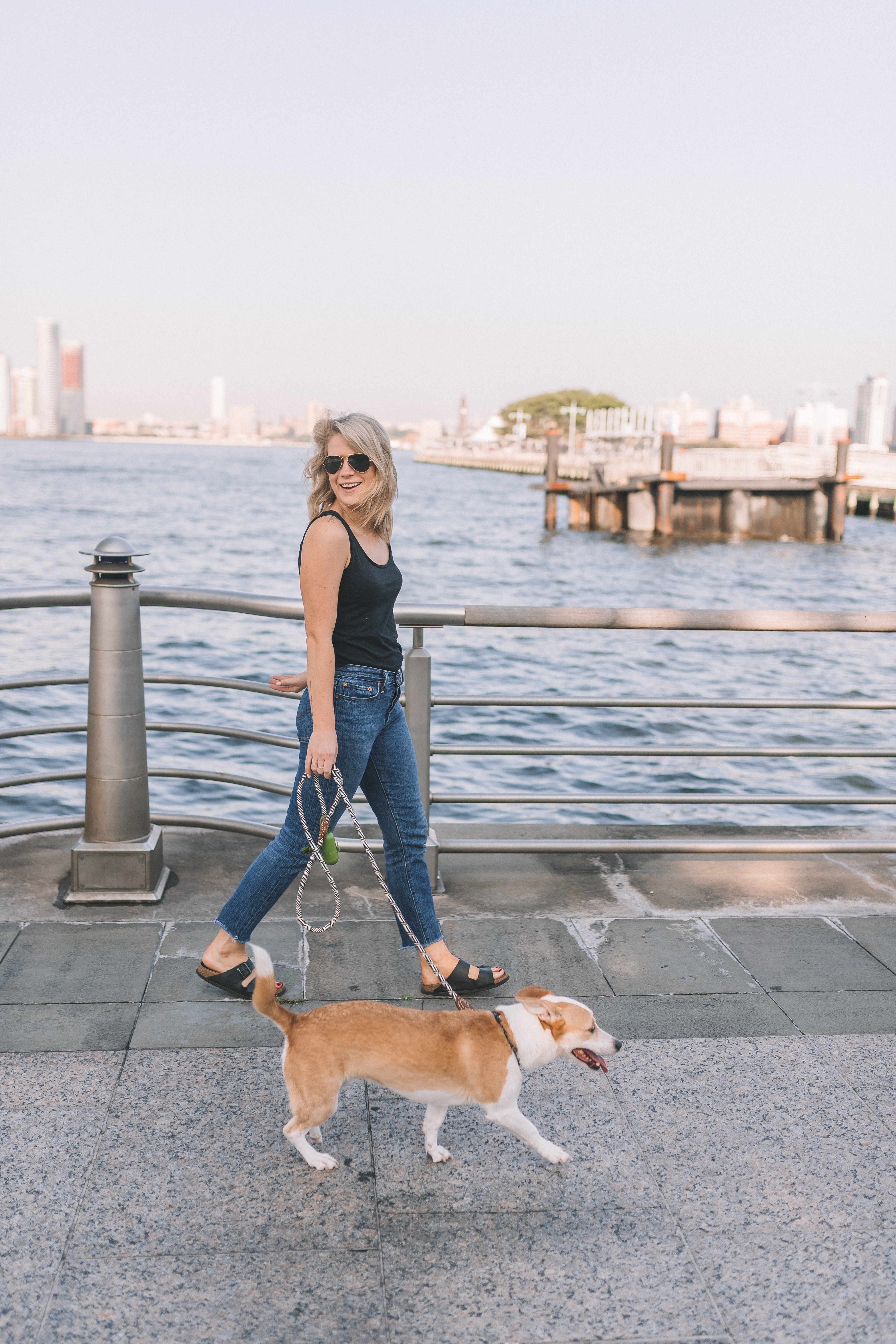纽约市最受欢迎的狗友好景点。manbet网页版登录